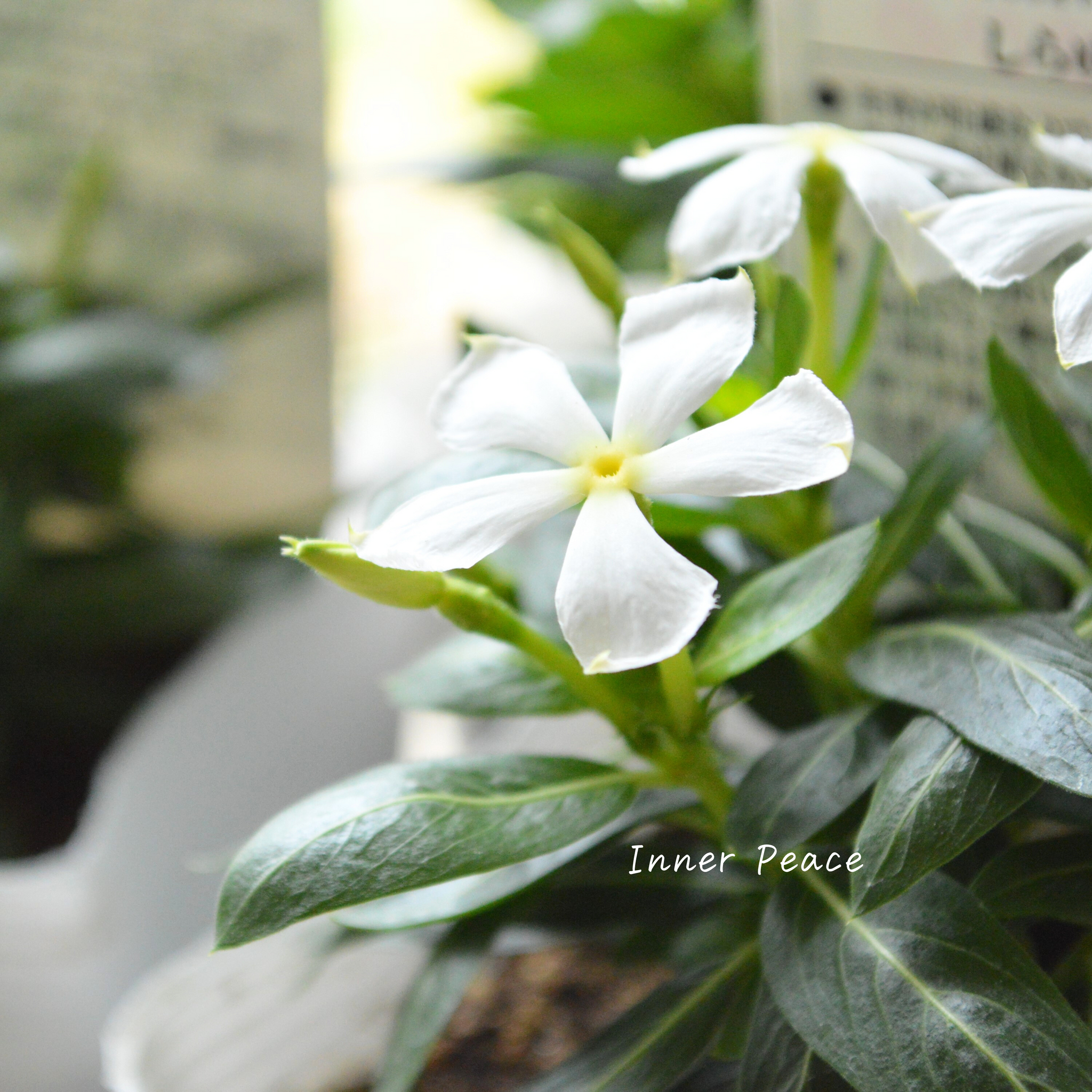 bbb0a1cd9328a8eea05dcebe49a28a