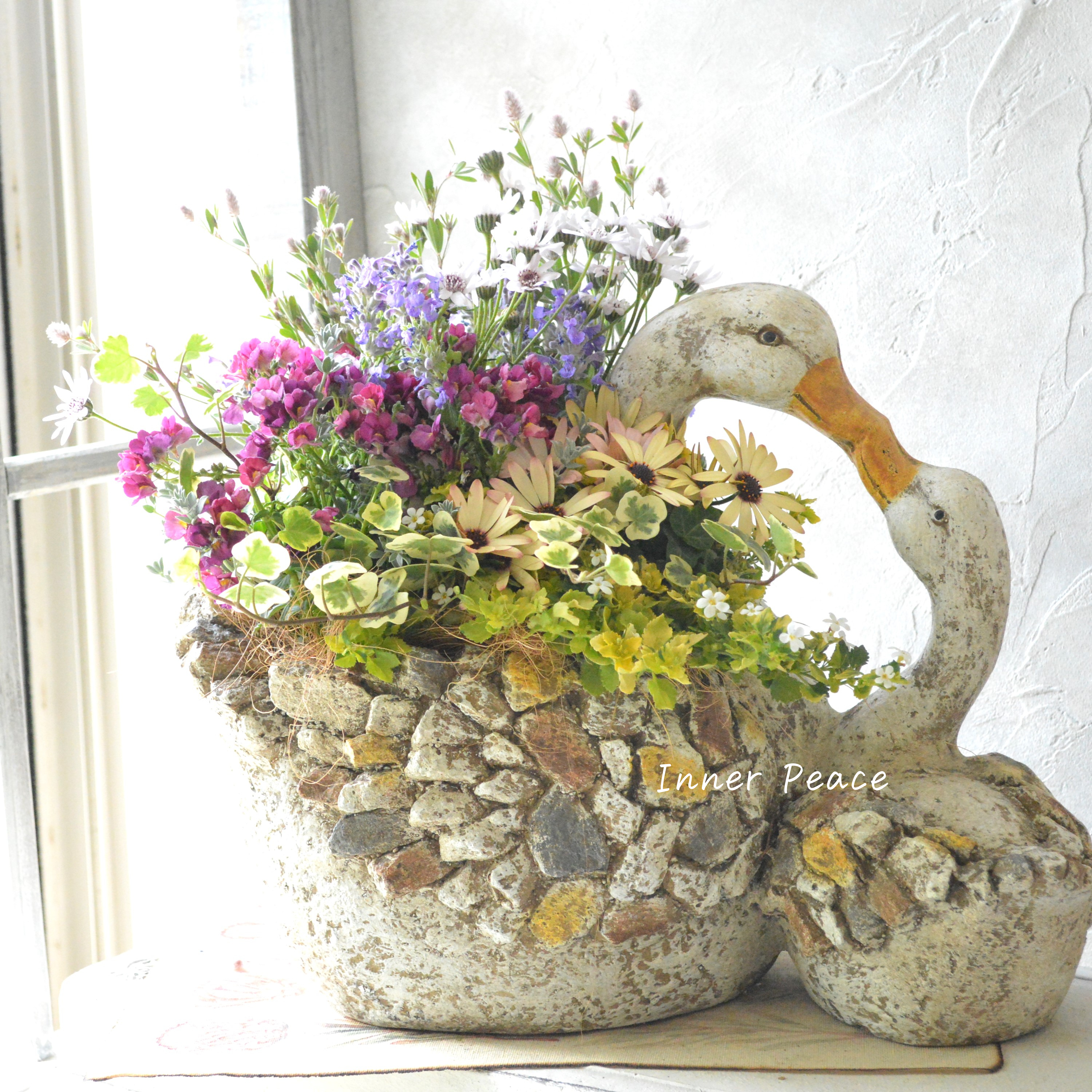 【春】 かわいいスワンの親子ポットでギャザリング