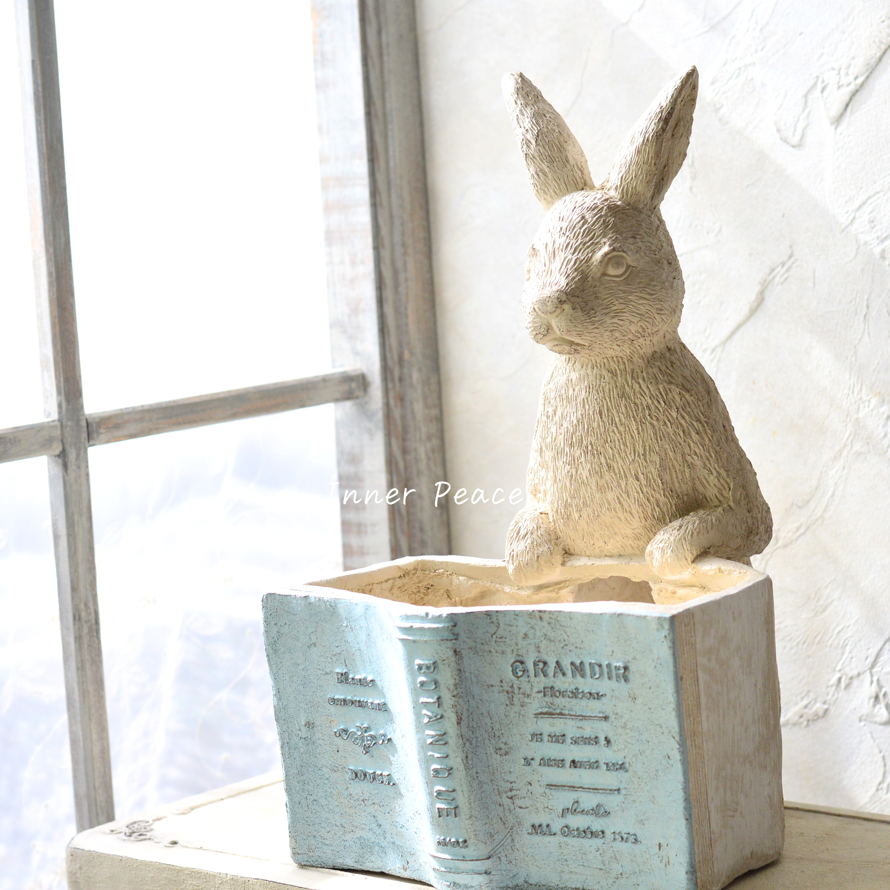 【友膳】 リーヴルラパンポット 『ブルー』 (GF4838)