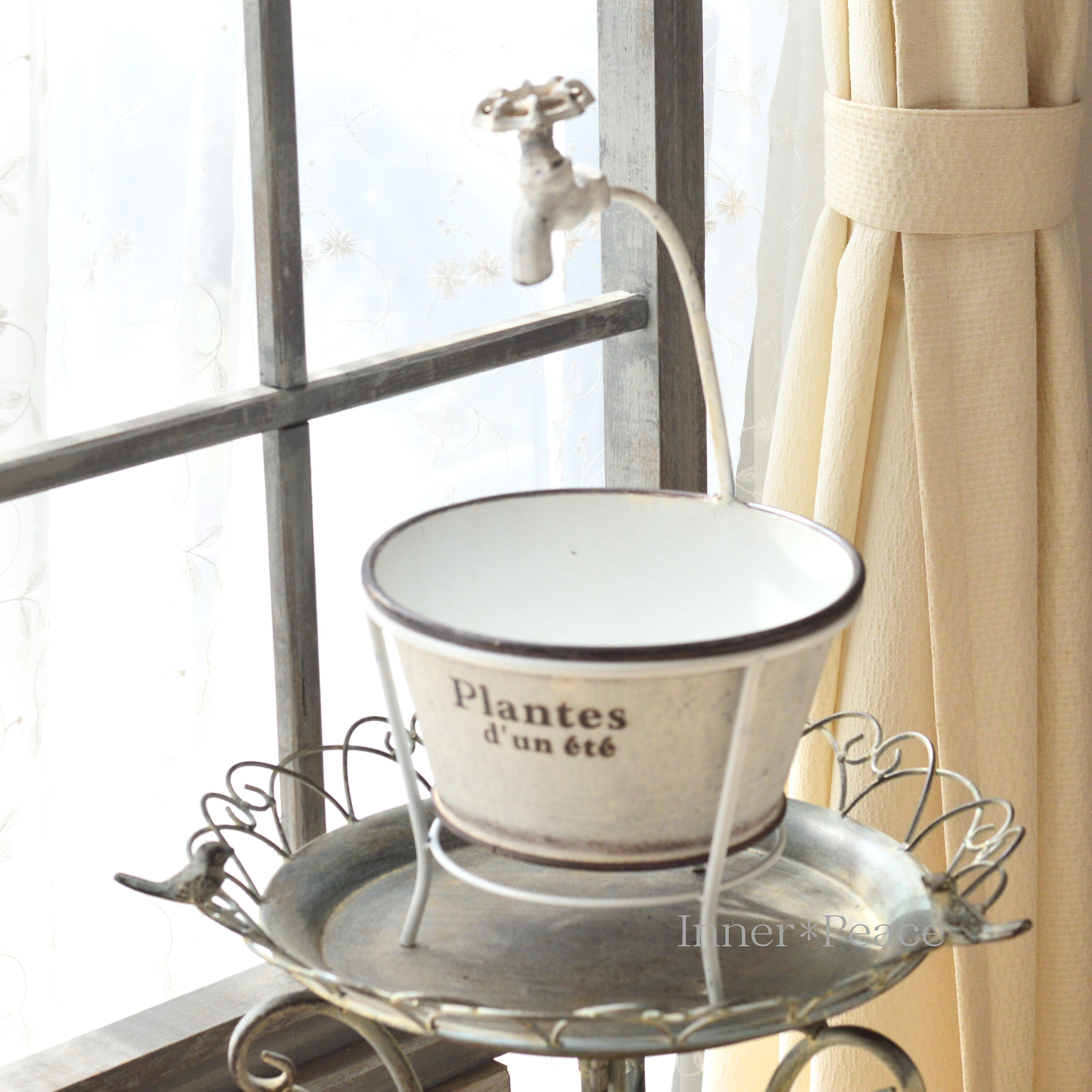 【友膳】 プランツラウンド 『S・ホワイト』 (UN2065)