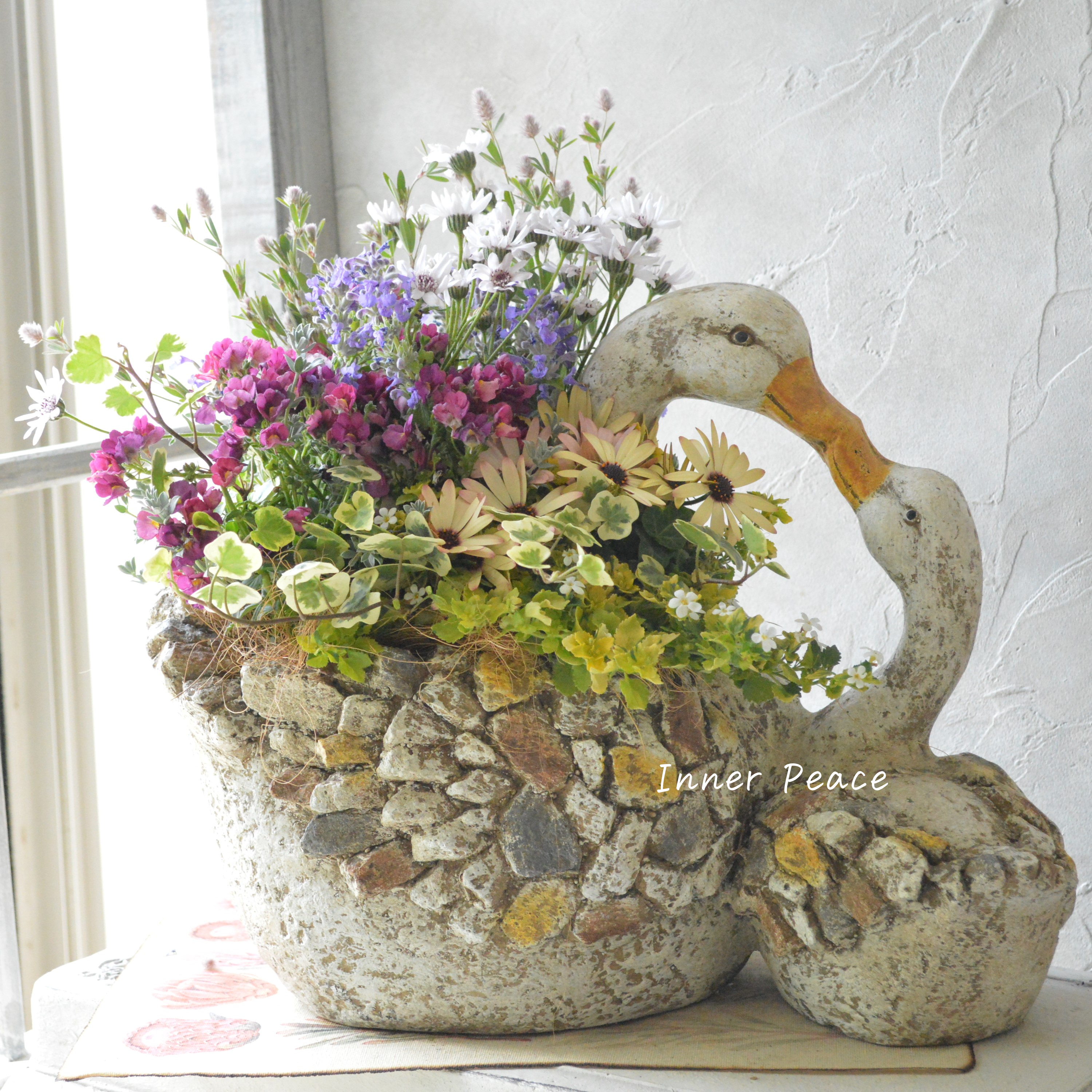 【春】 かわいいスワンの親子ポットでギャザリング
