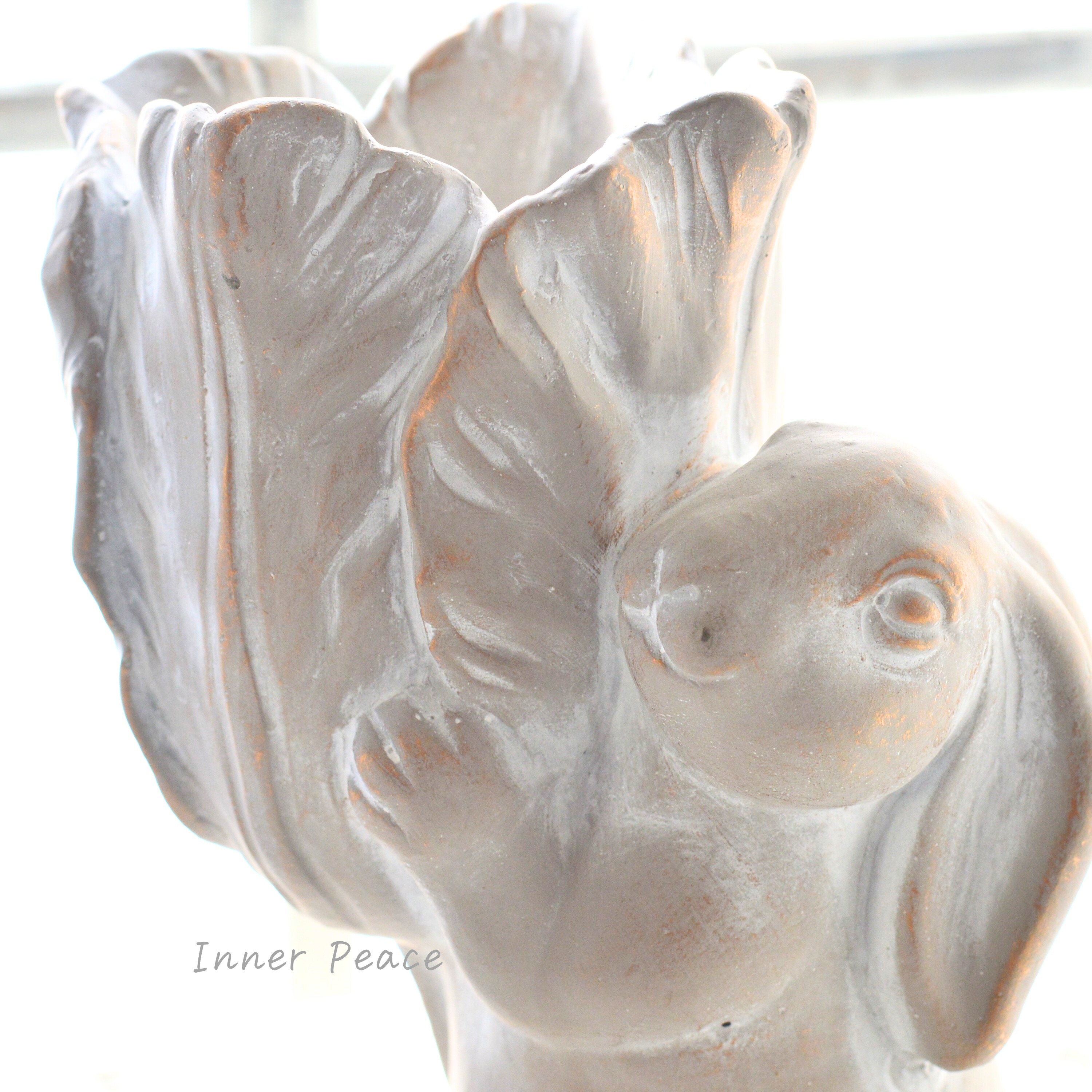 【DELLKI】 アグロスポット C