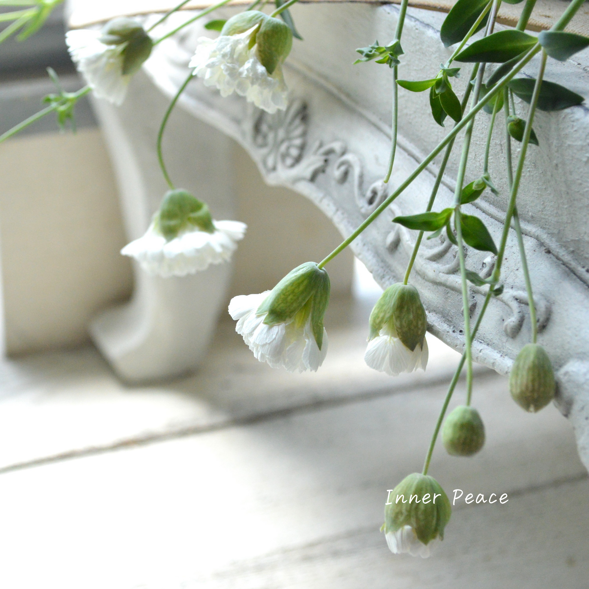 ２個セット　フォンテーン　fontaine　咲き乱れの花版 2個セット フォンテーン fontaine 咲き乱れの花版 2個セット