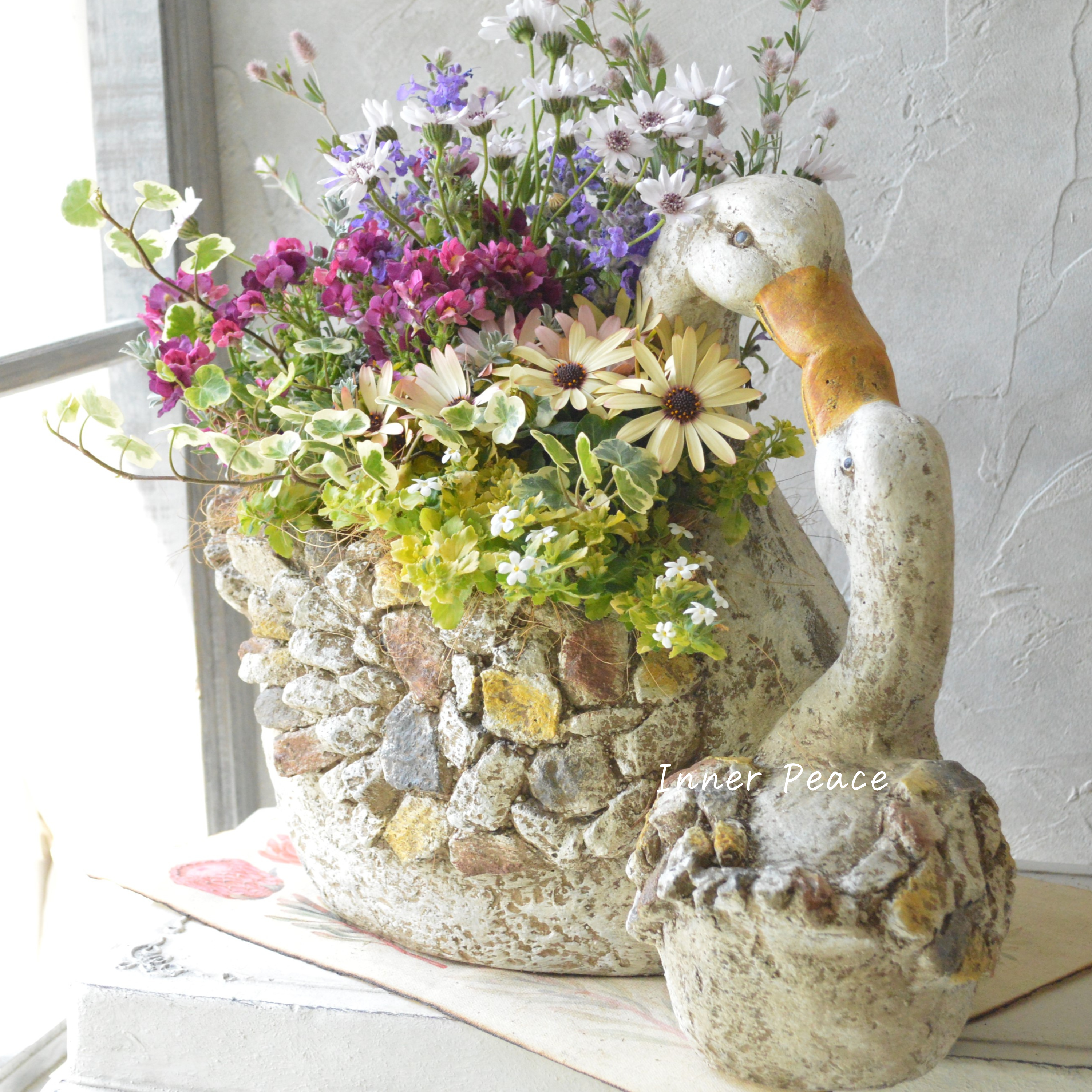 【春】 かわいいスワンの親子ポットでギャザリング