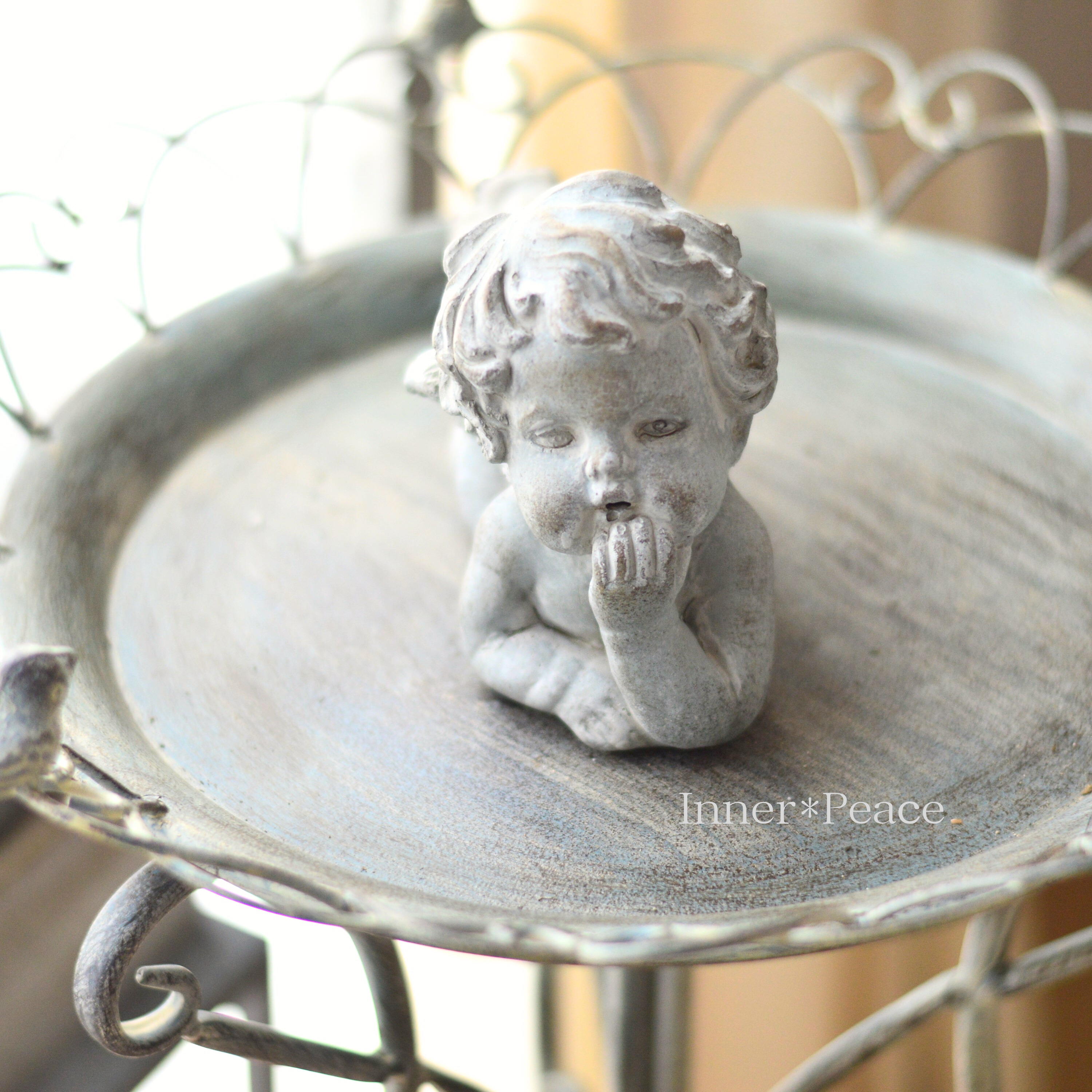 【COVENT GARDEN】 ガーデンエンジェル・ライイング (QB-17)