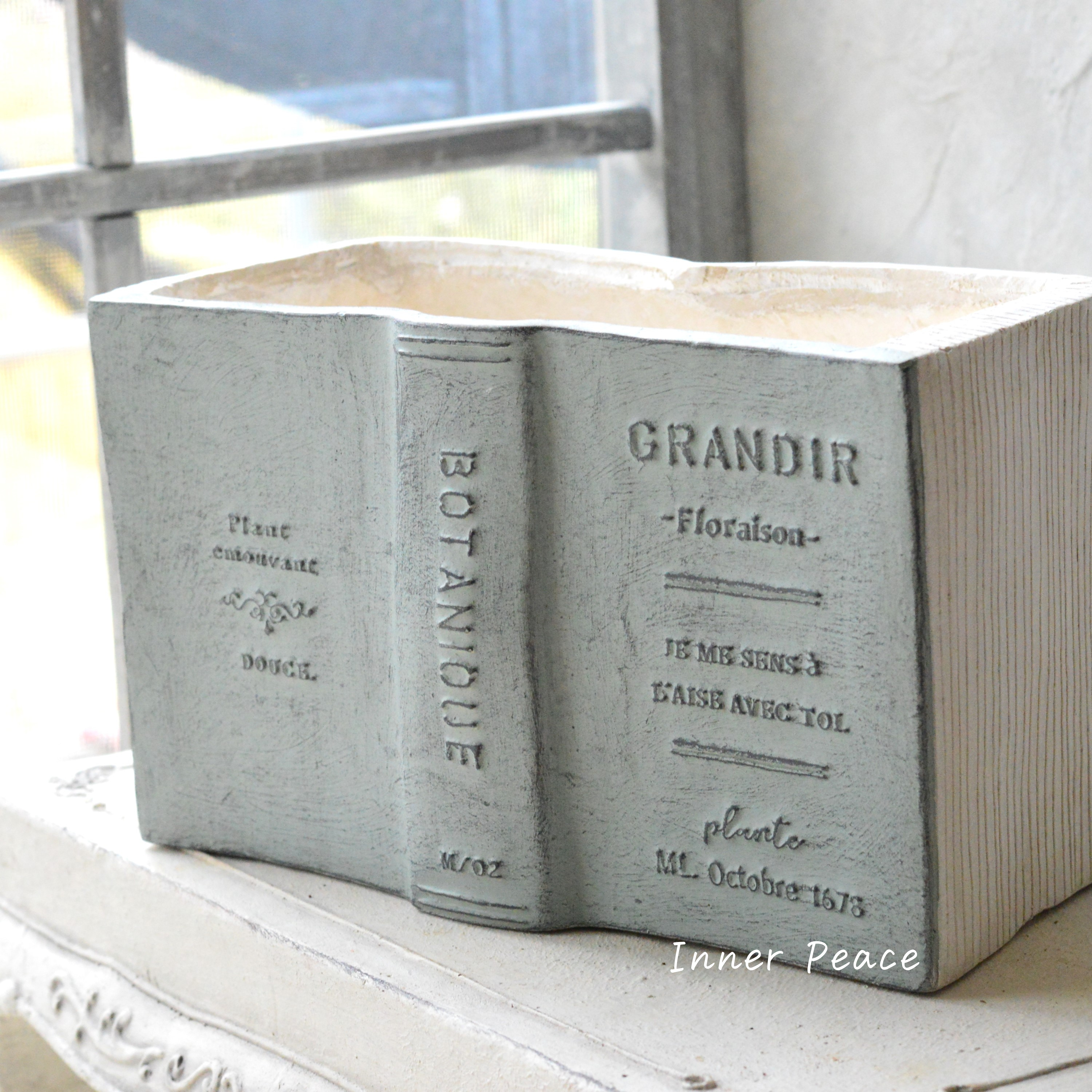 【友膳】 グランディール 『グリーン』 (GF4541)