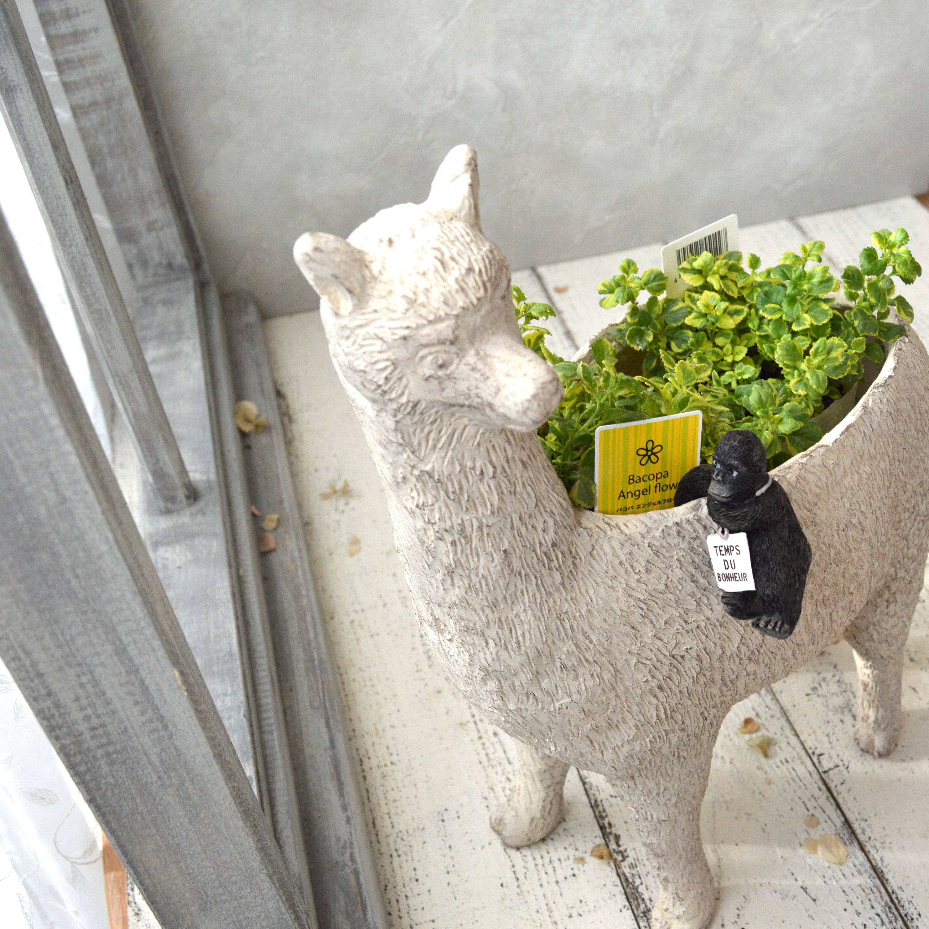 【友膳】 ゴリーユフック