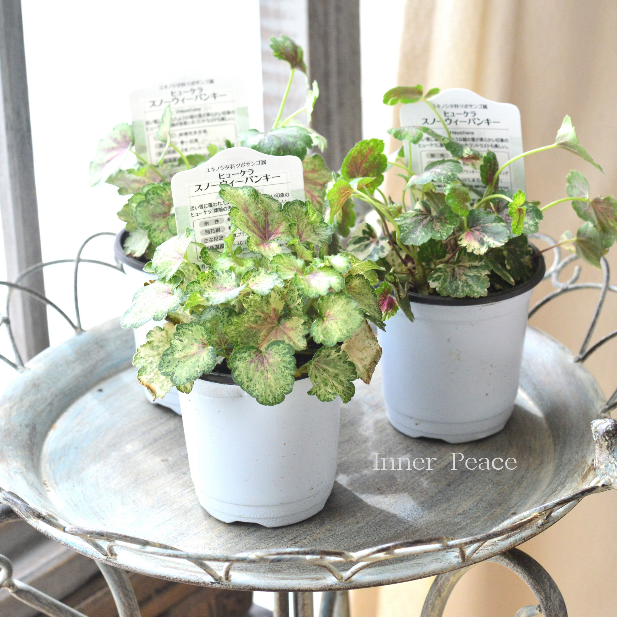 de5c432822782416f5774b85271a58