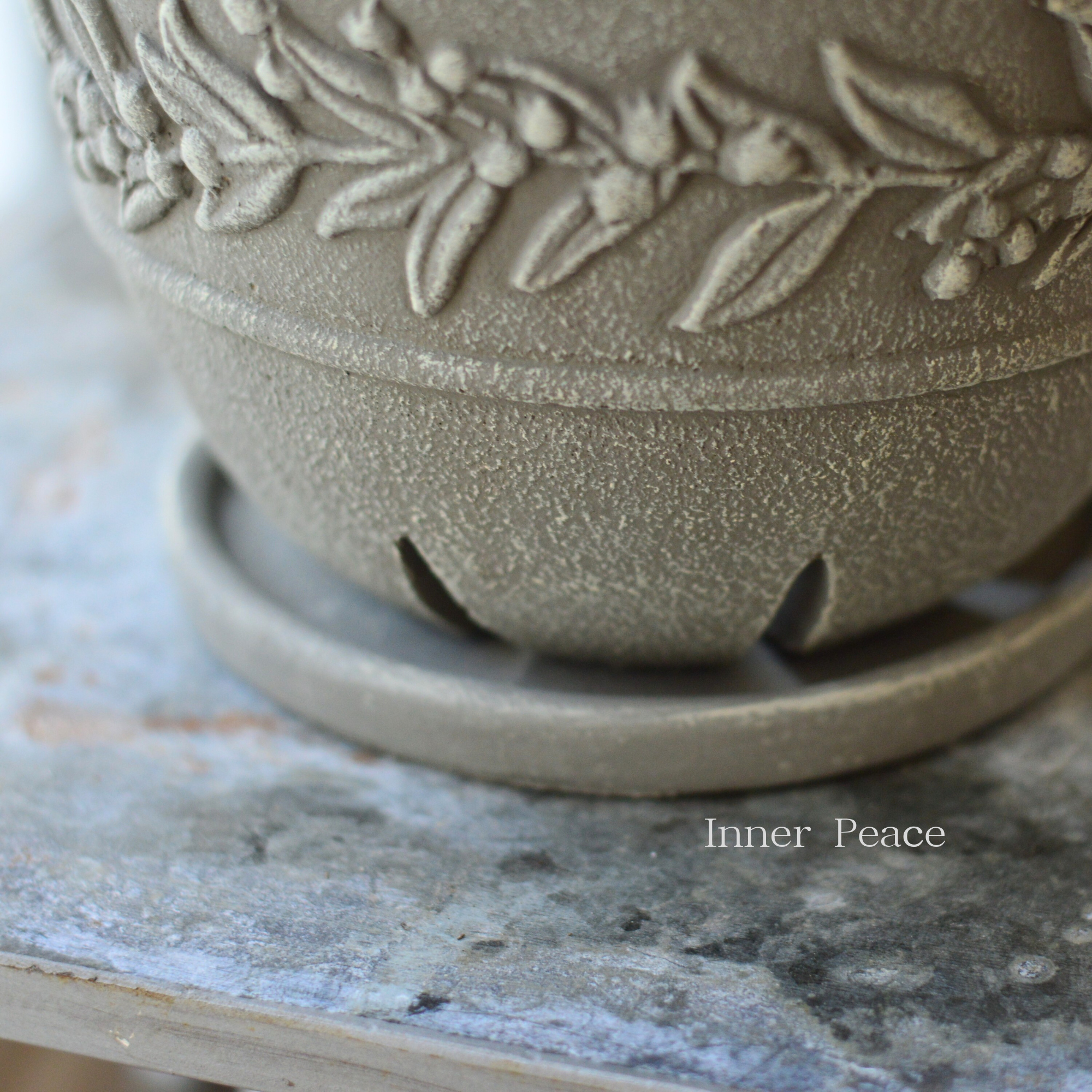 【DELLKI】 ラナ ロー 『グレー』 (KK07GYBB)