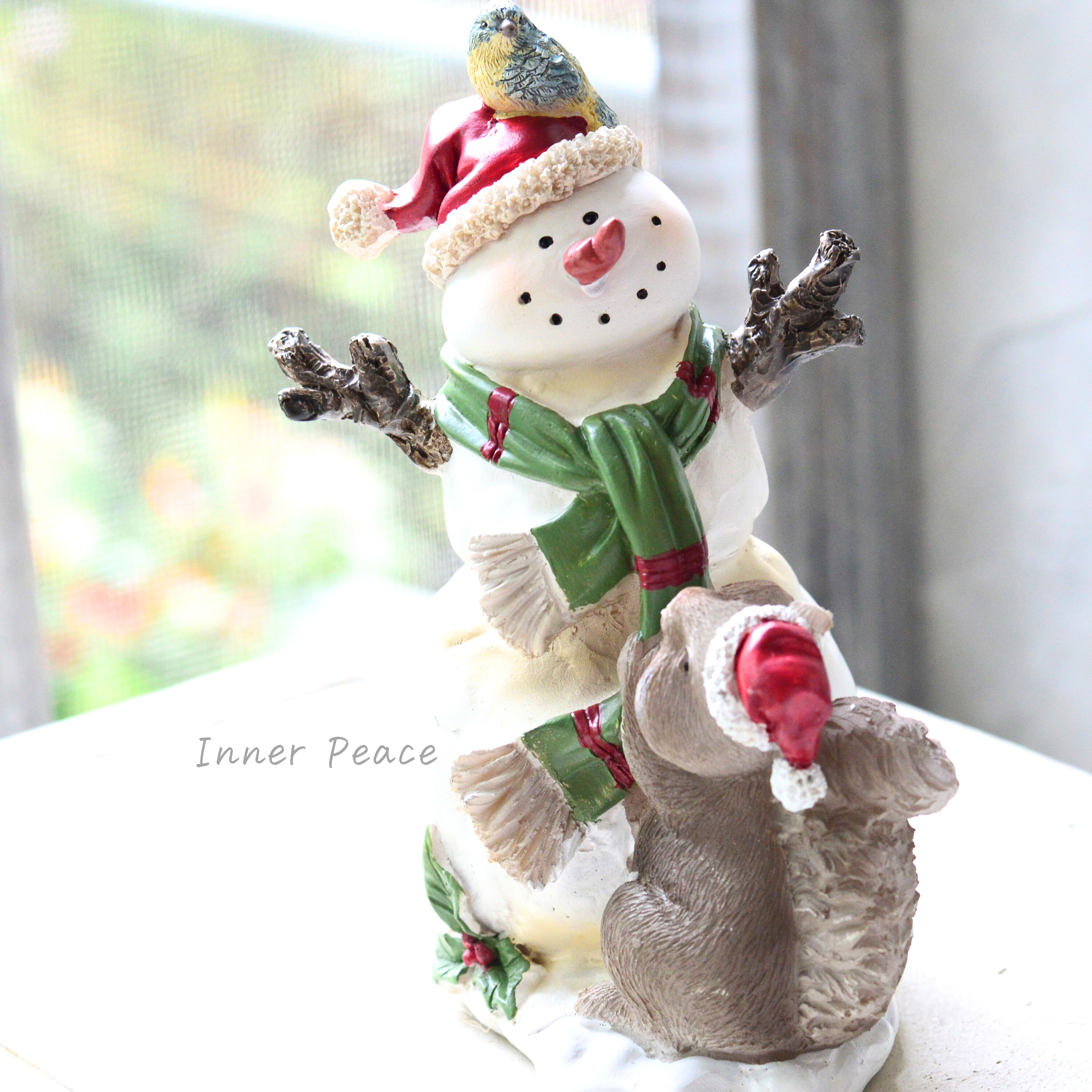 【CARNAC】 ノエルスノーマン05 (HGX22)