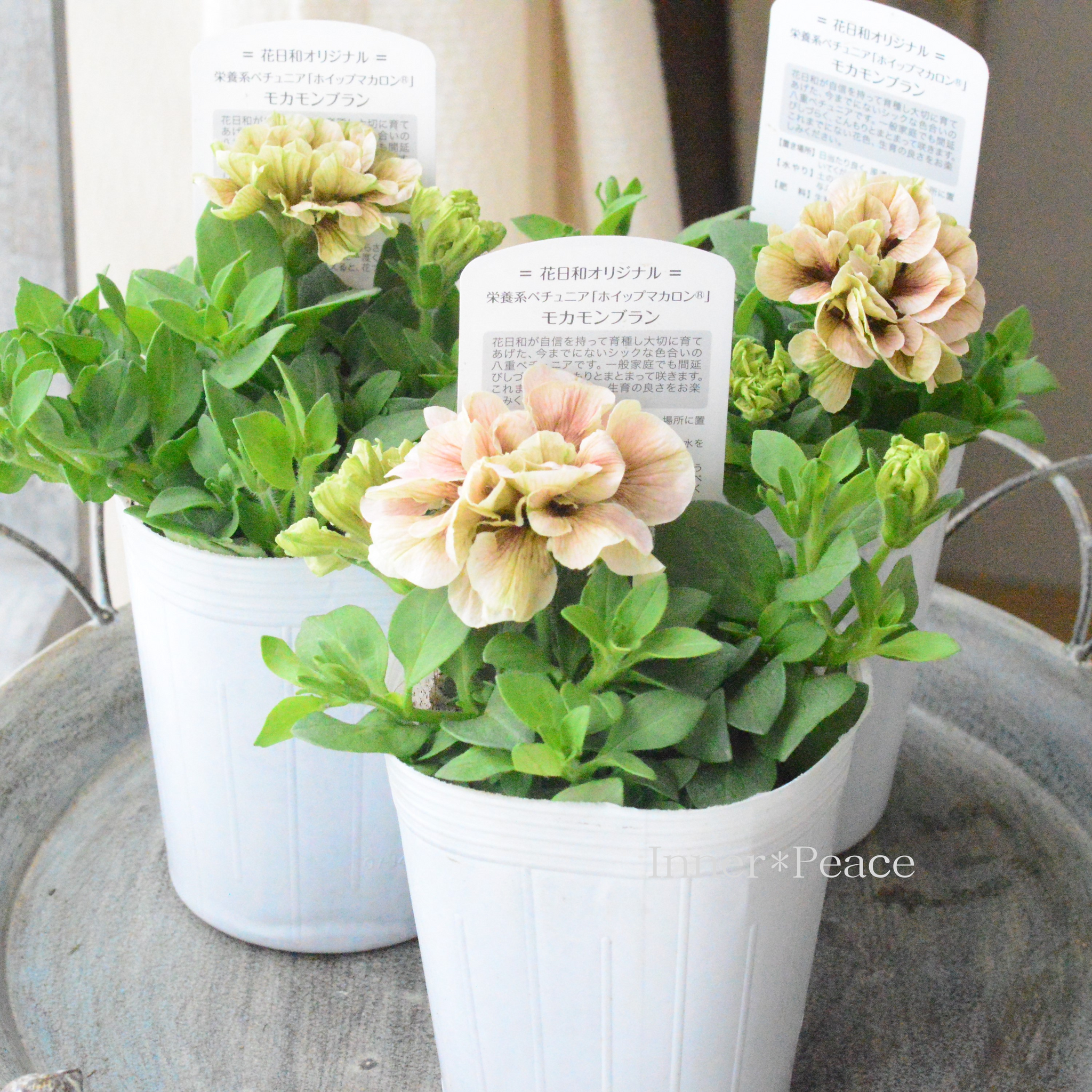 f336487688850c556ab305b73ad5eb