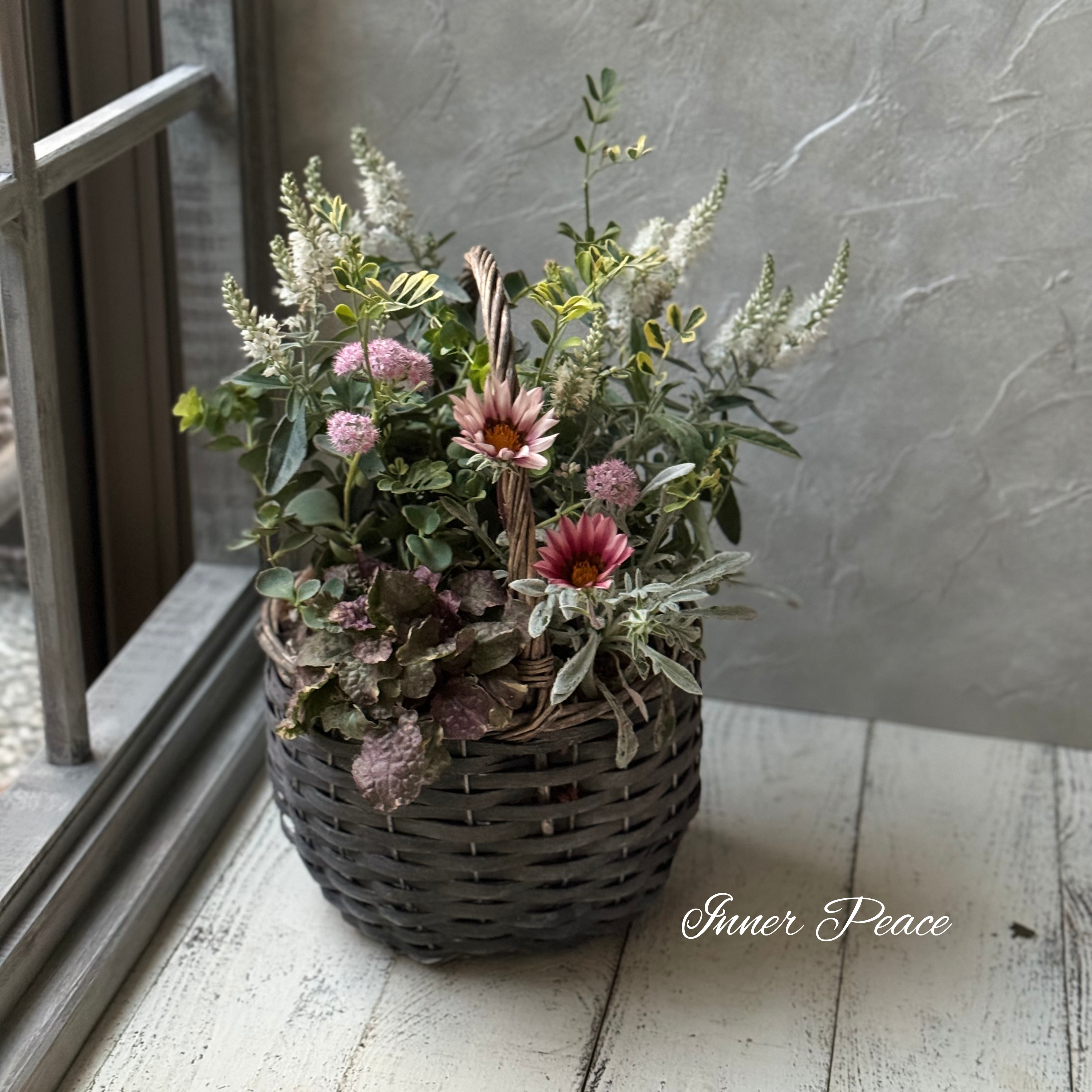 大人かわいい】 シルバーリーフの寄せ植え