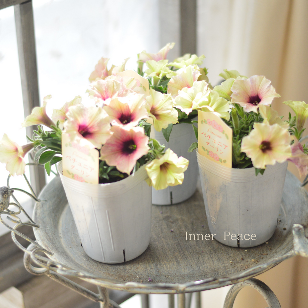 1e10d9869d3553c428be1d48828942 1e10d9869d3553c428be1d48828942