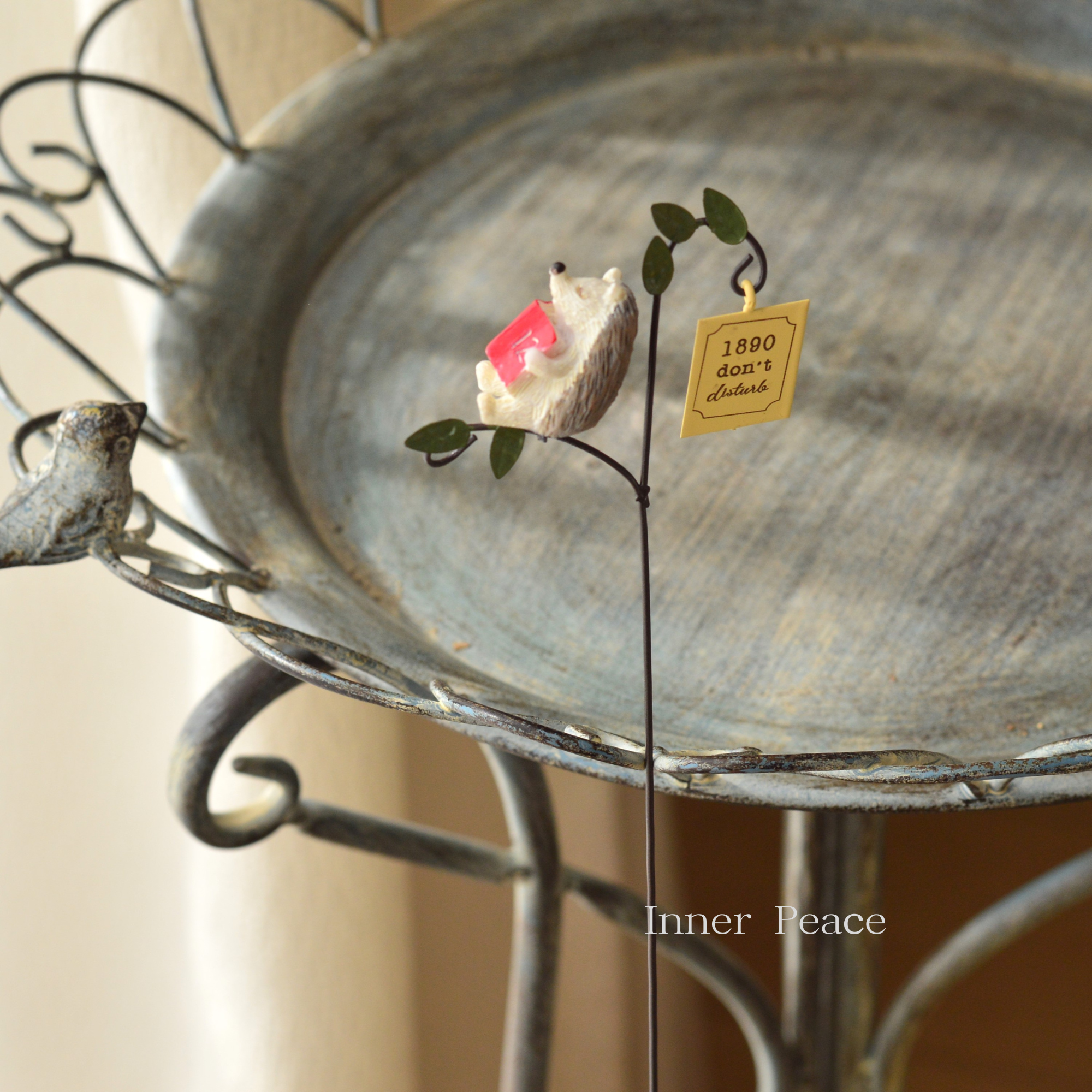 【友膳】ドルミールヘッジホック　　(5E3679)