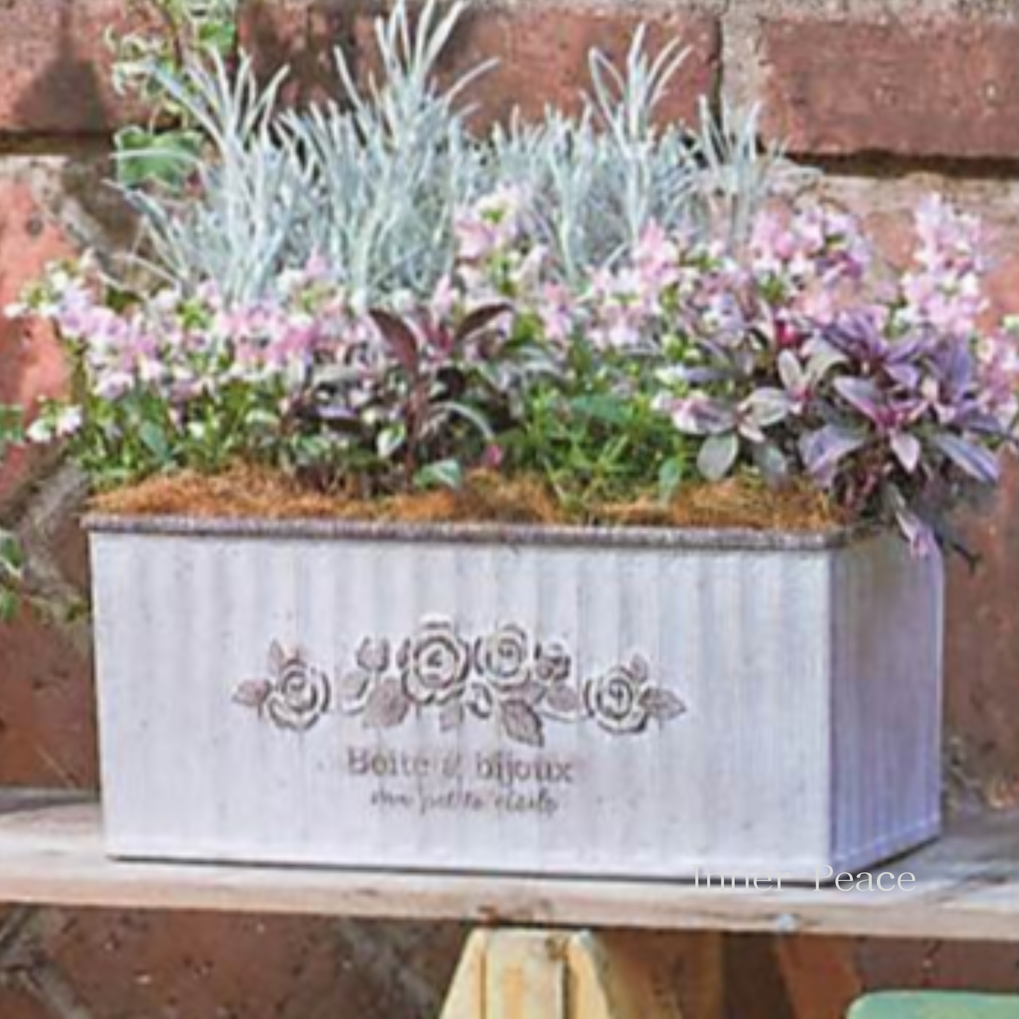 【友膳】 ボワトアワイド 　『S・グレー』　    (MS1325)