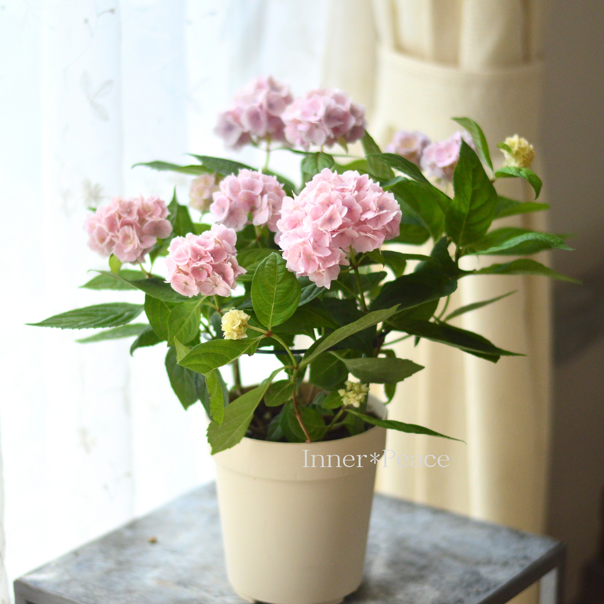 2f315322f37b868ff2acbdd9546089