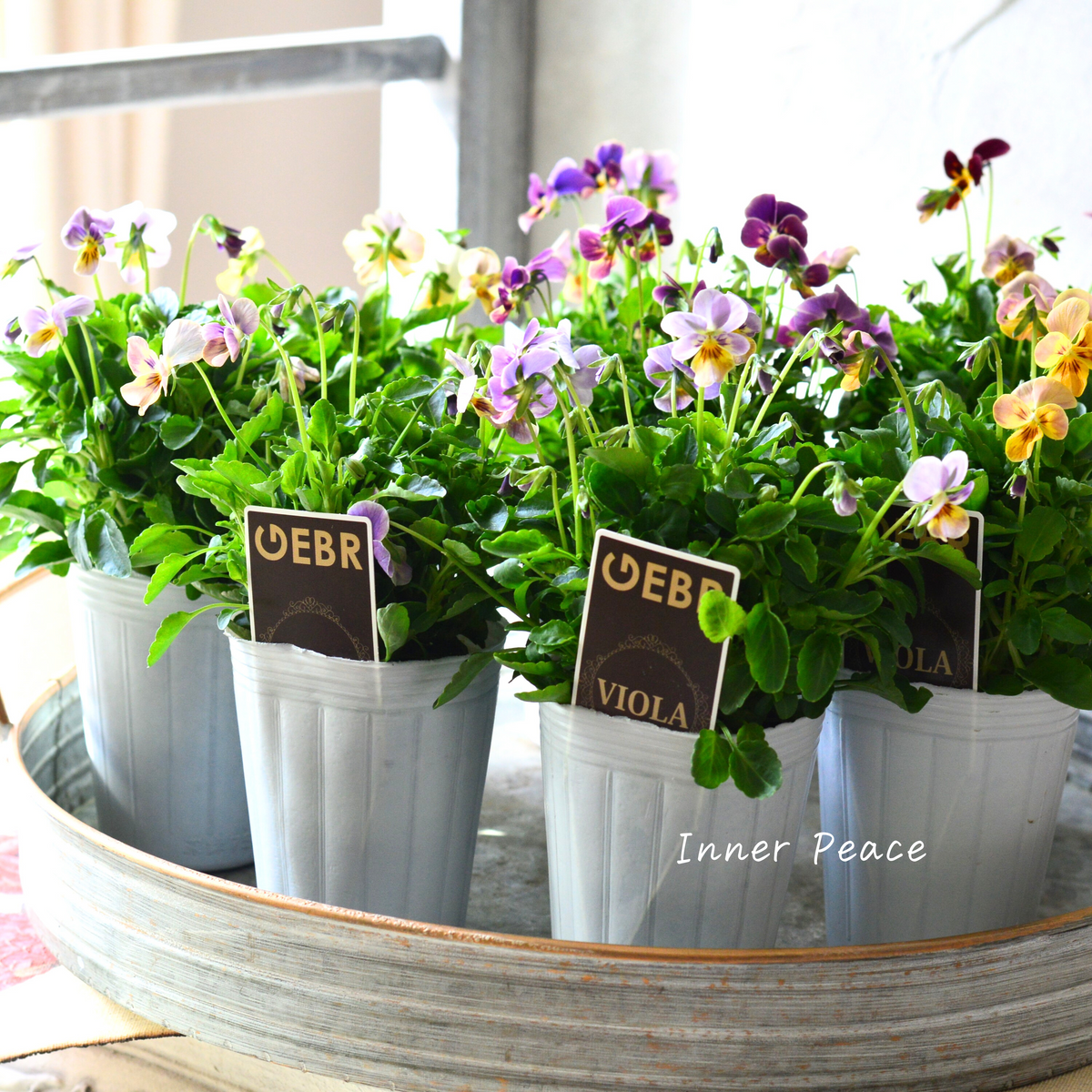 4ca7b4d2ddbac8b867eff7e128c9c7