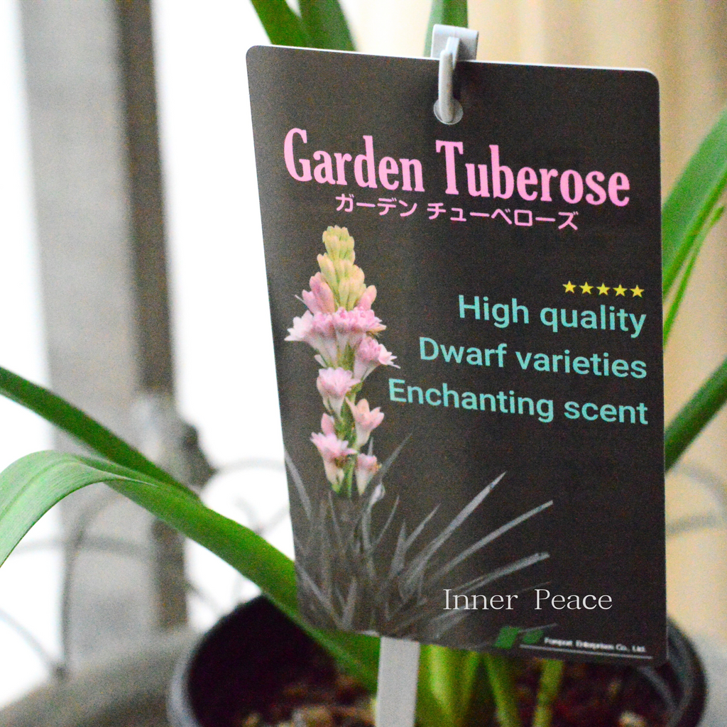 71d6de906c7ea33e5acbeefb74cb85