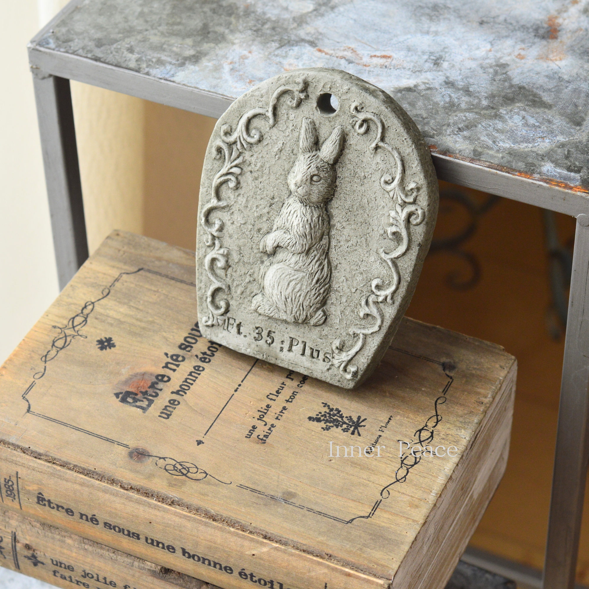 【友膳】 ラパンプレート　『M』　　(TP727)