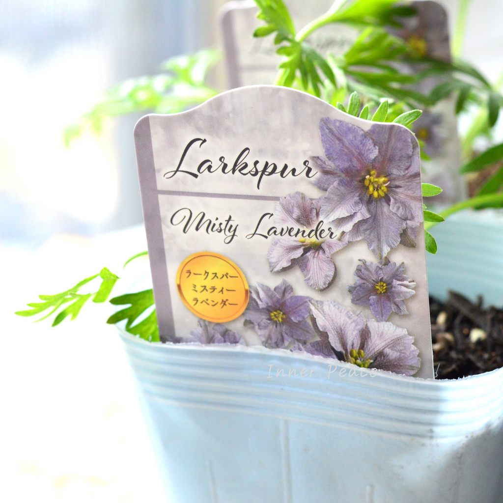 8ac4799a17b04d0f888ea87a5b7ac1