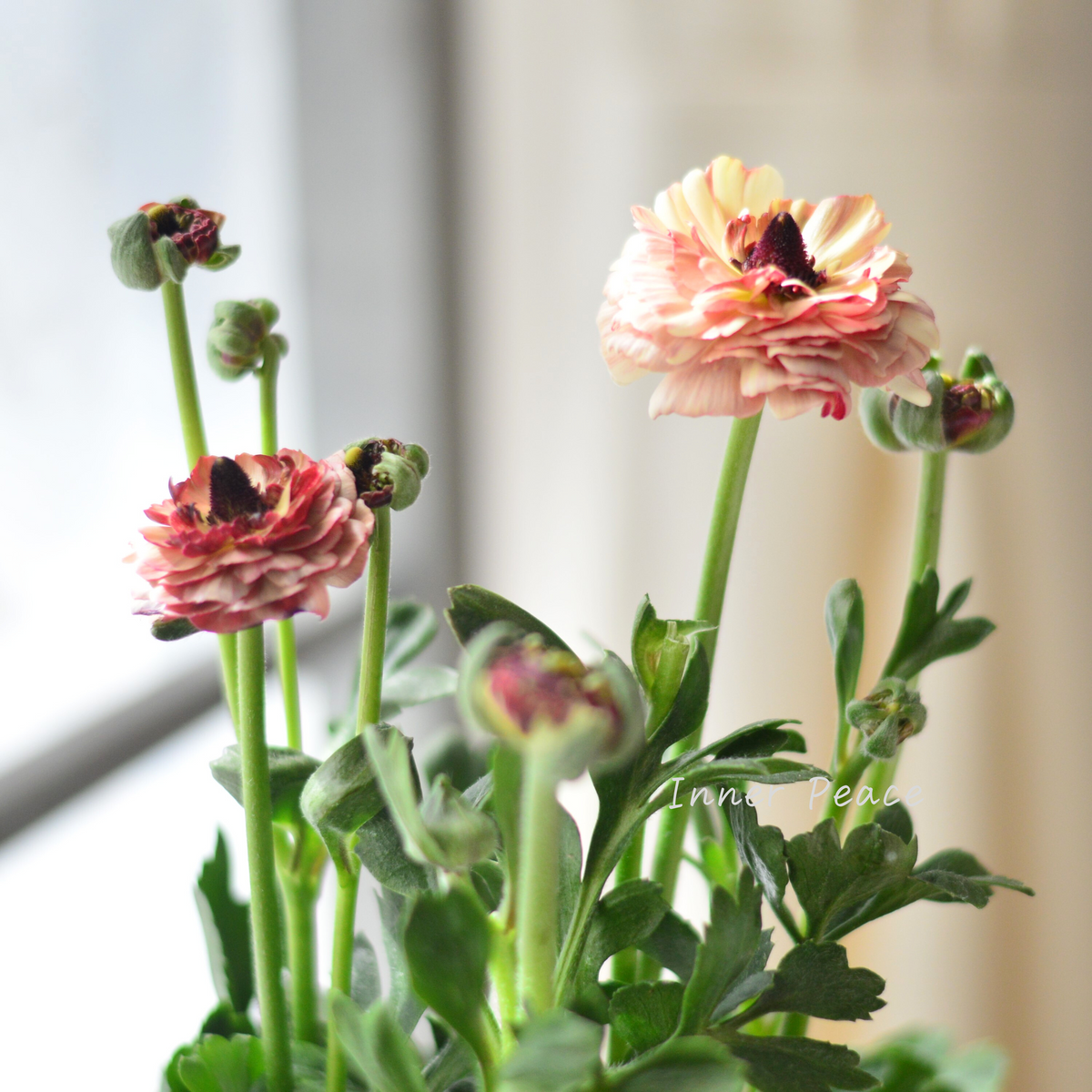 8d612620a3e62ac5d943abe75a45be