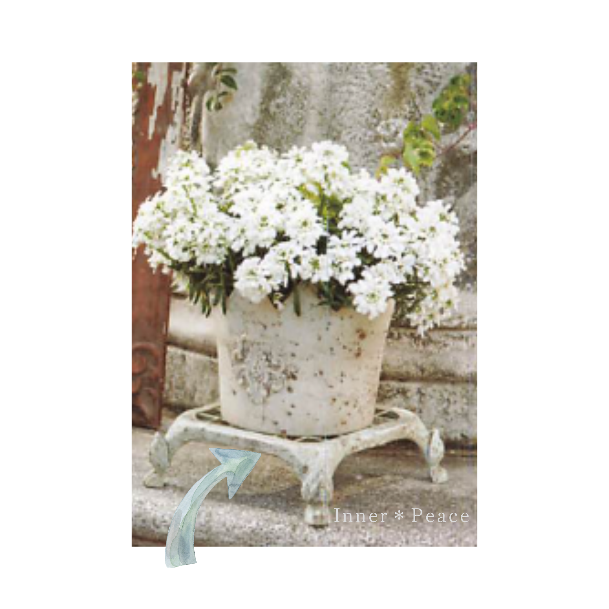 【友膳】 シャビースクエアスタンド　『Ｓ・ダークグレー』　　　(UF679)