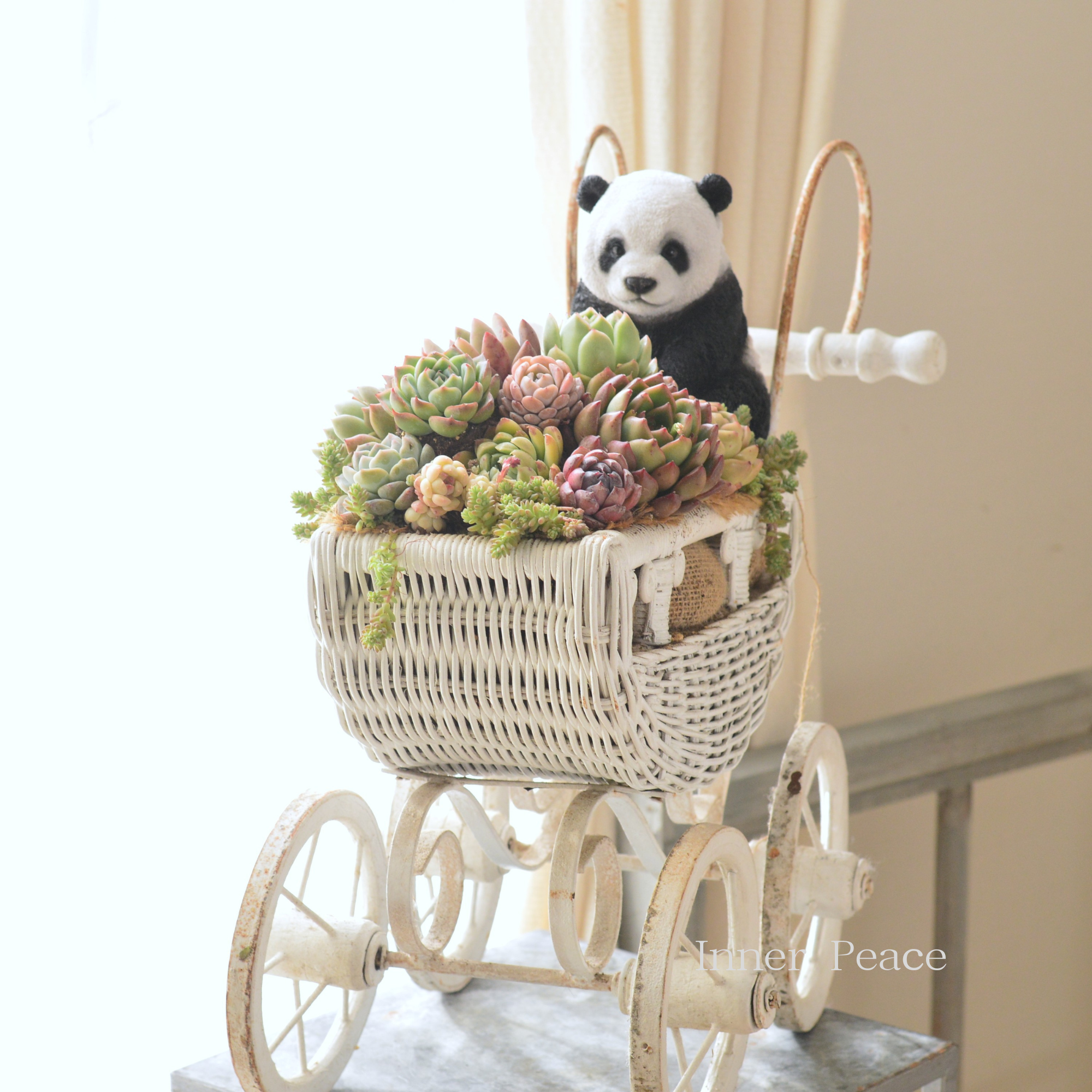 多肉植物の寄せ植え　（パンダとカート付き）