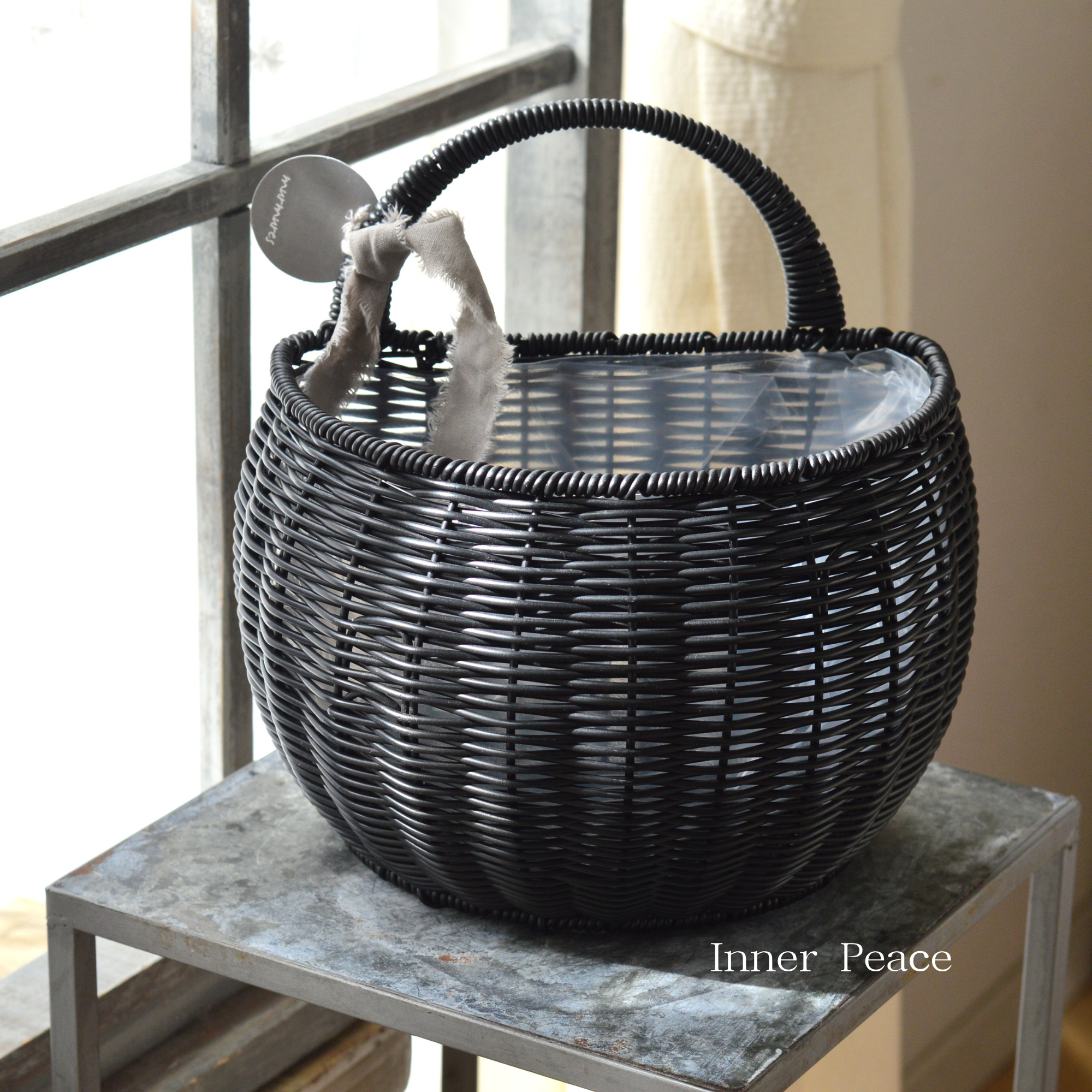 【ミュールミル】 ジェミニバスケット 『壁掛・黒』　L