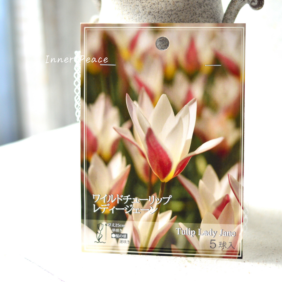 a1da352950ef58b1e1726f89bd5b61