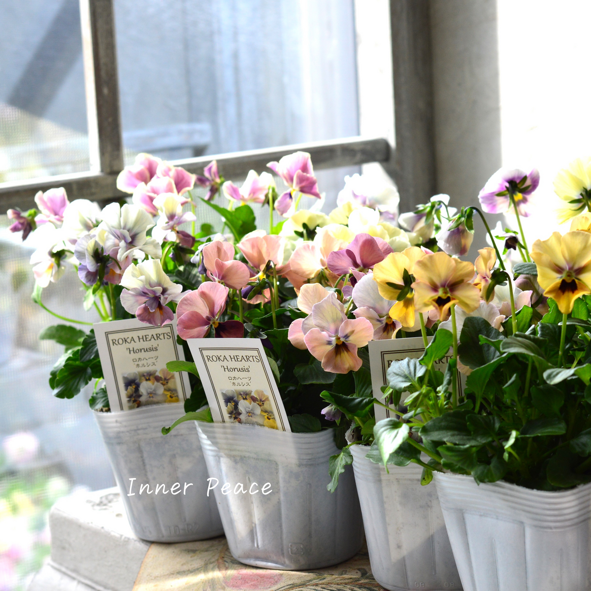 a2b02b07acad97c26bdbe8902bff63