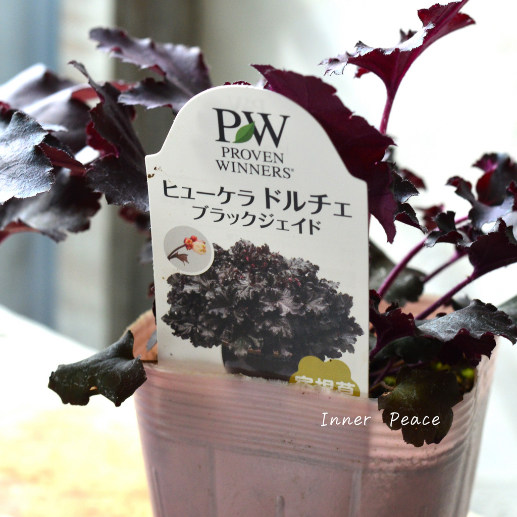 a6862bfc4415e1bce14509d29fb208