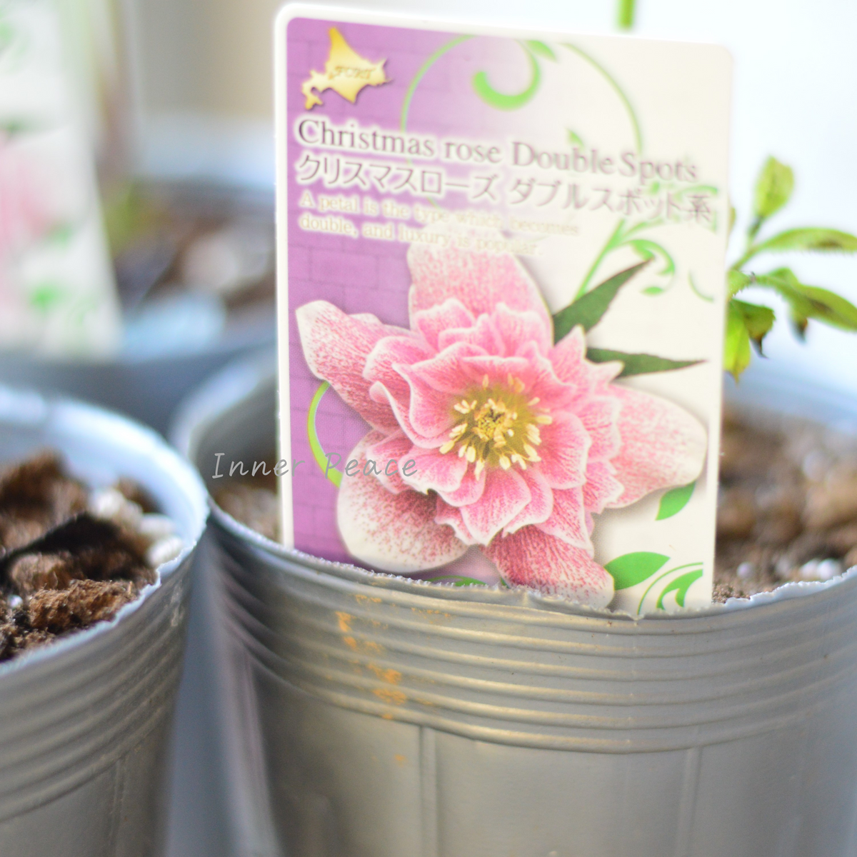 c9deb8be25c870f426a9a959ab4352 c9deb8be25c870f426a9a959ab4352