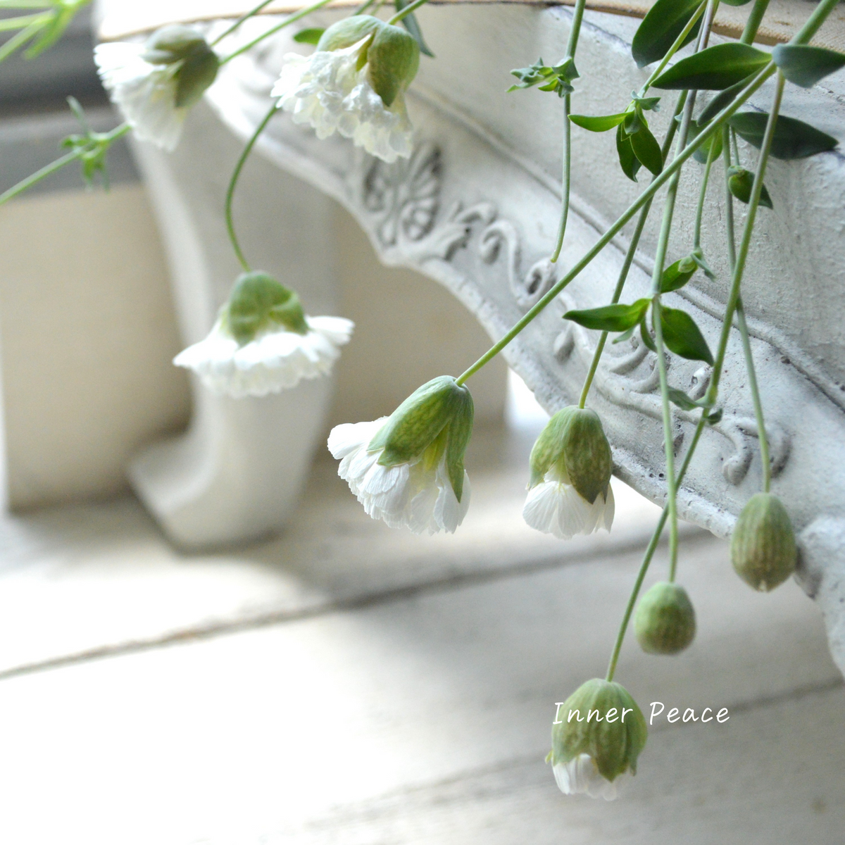 d920c364aab66e610f4bd3213f99a7