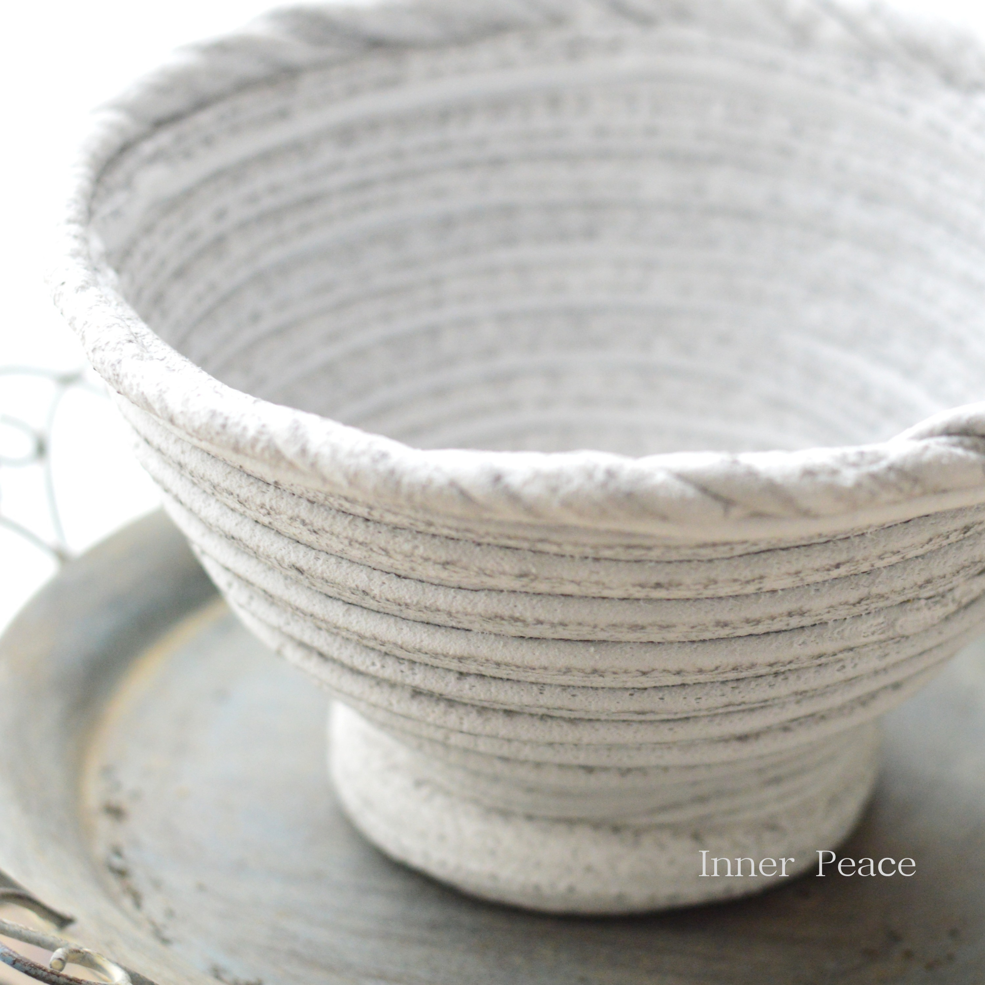 【綱木紋】 『らせん美　たんぽぽ・ホワイト』