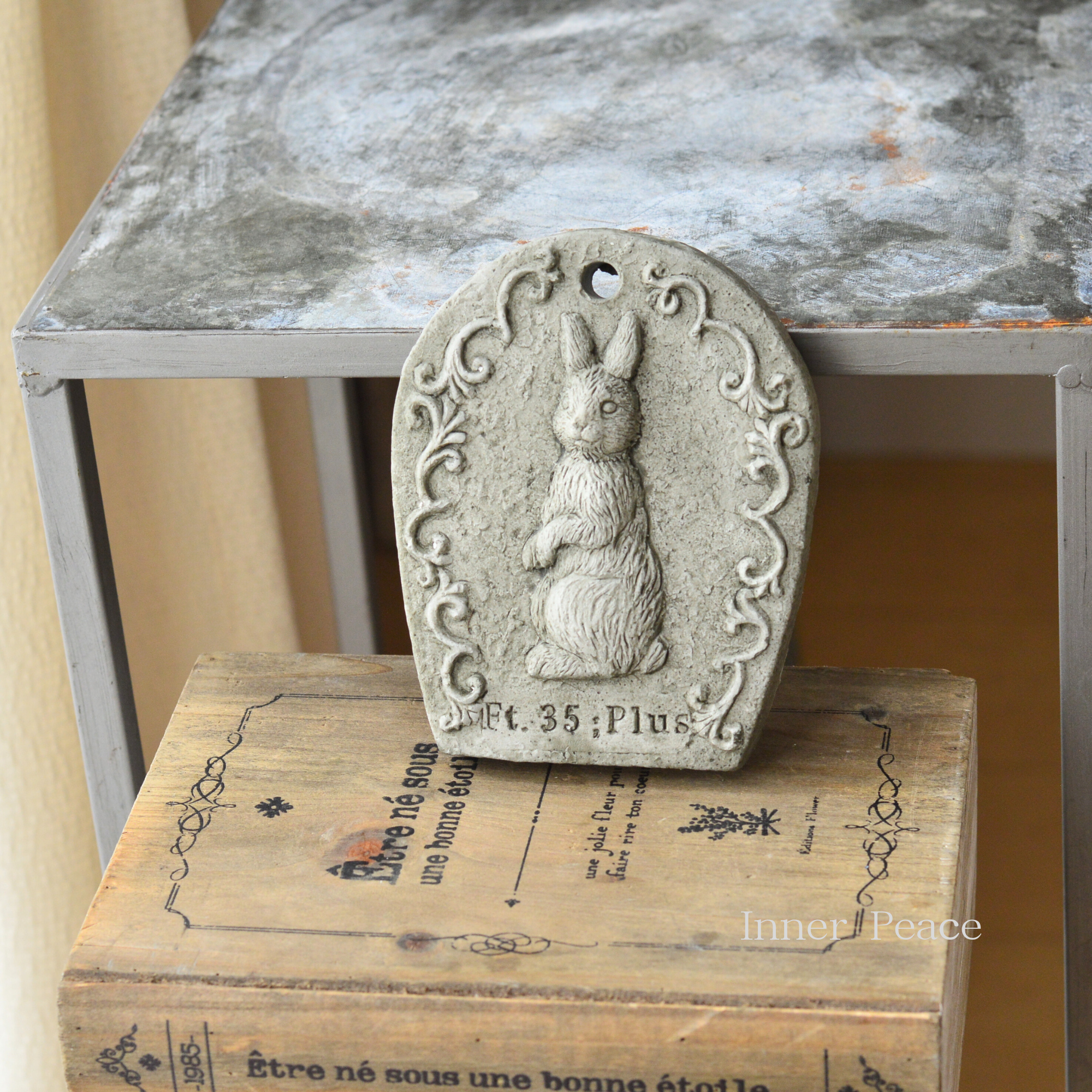 【友膳】 ラパンプレート　『M』　　(TP727)