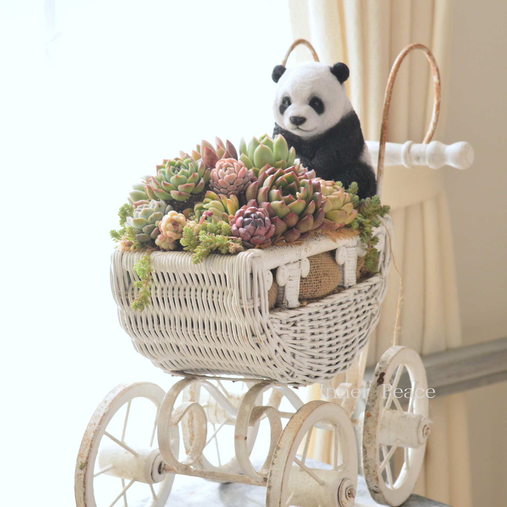 多肉植物の寄せ植え　（パンダとカート付き）